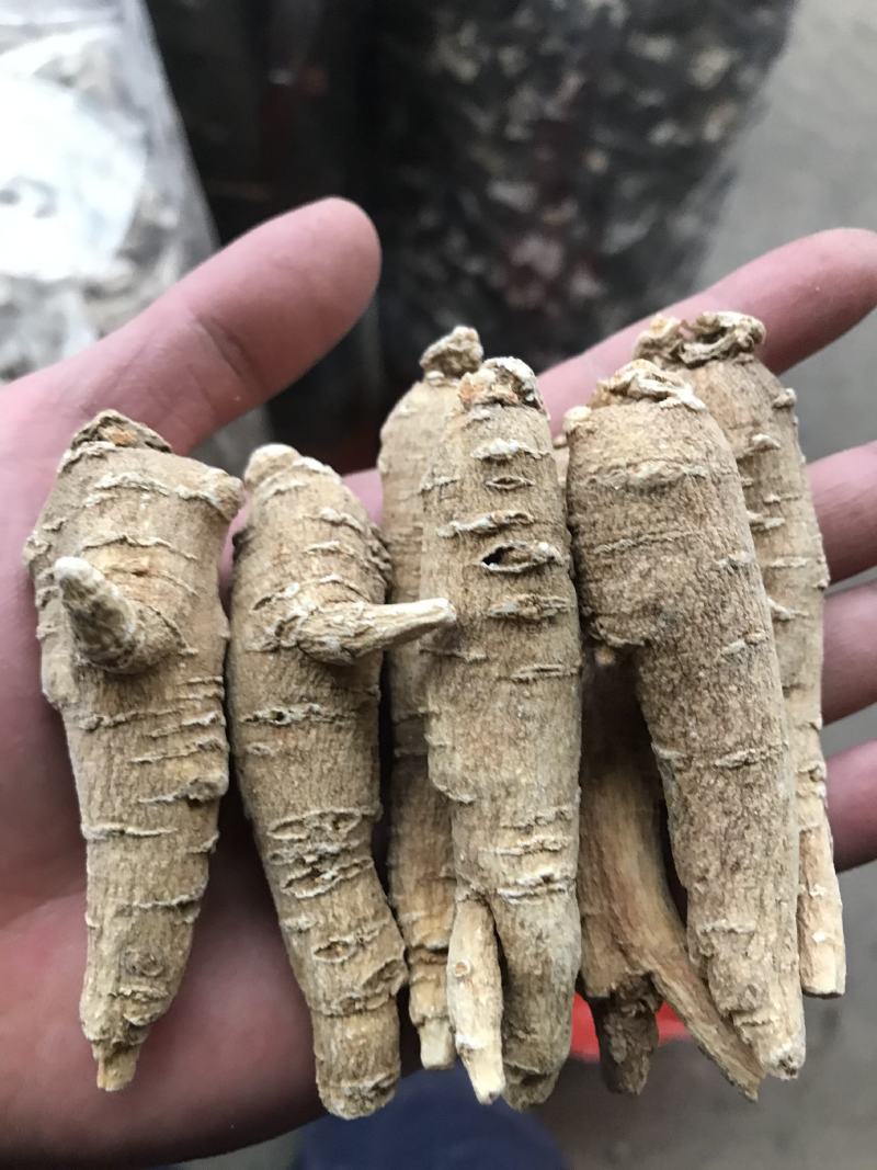加拿大进口西洋参精选15克参条断枝精选山东花旗参尖尾