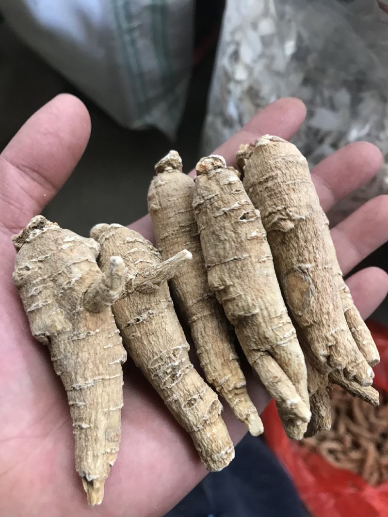 加拿大进口西洋参精选15克参条断枝精选山东花旗参尖尾