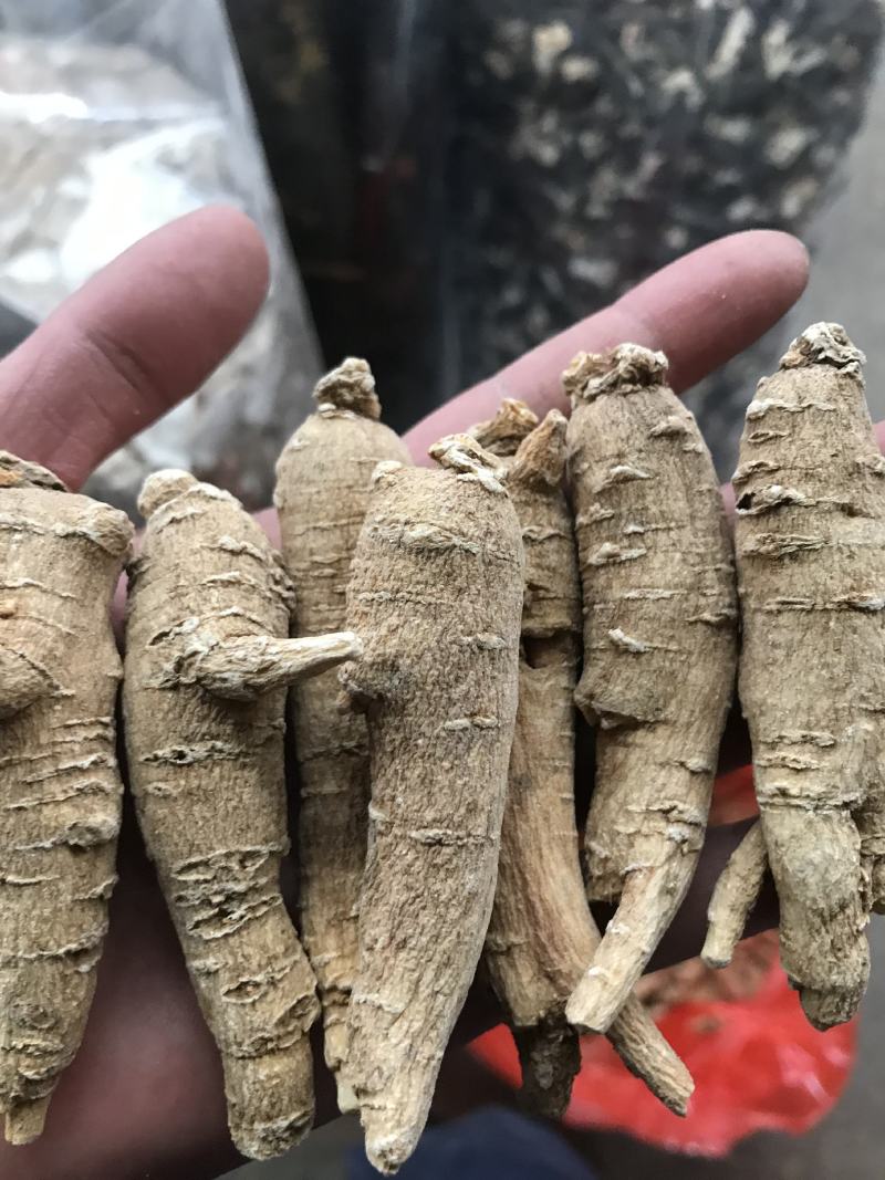加拿大进口西洋参精选15克参条断枝精选山东花旗参尖尾