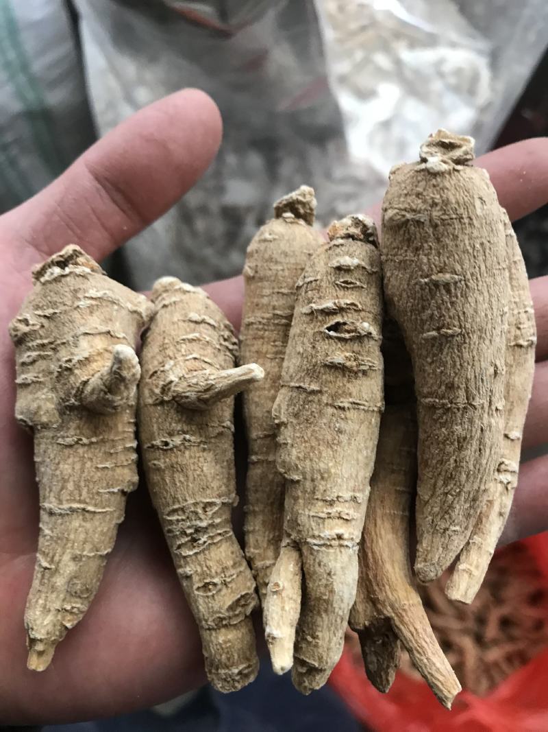 加拿大进口西洋参精选15克参条断枝精选山东花旗参尖尾