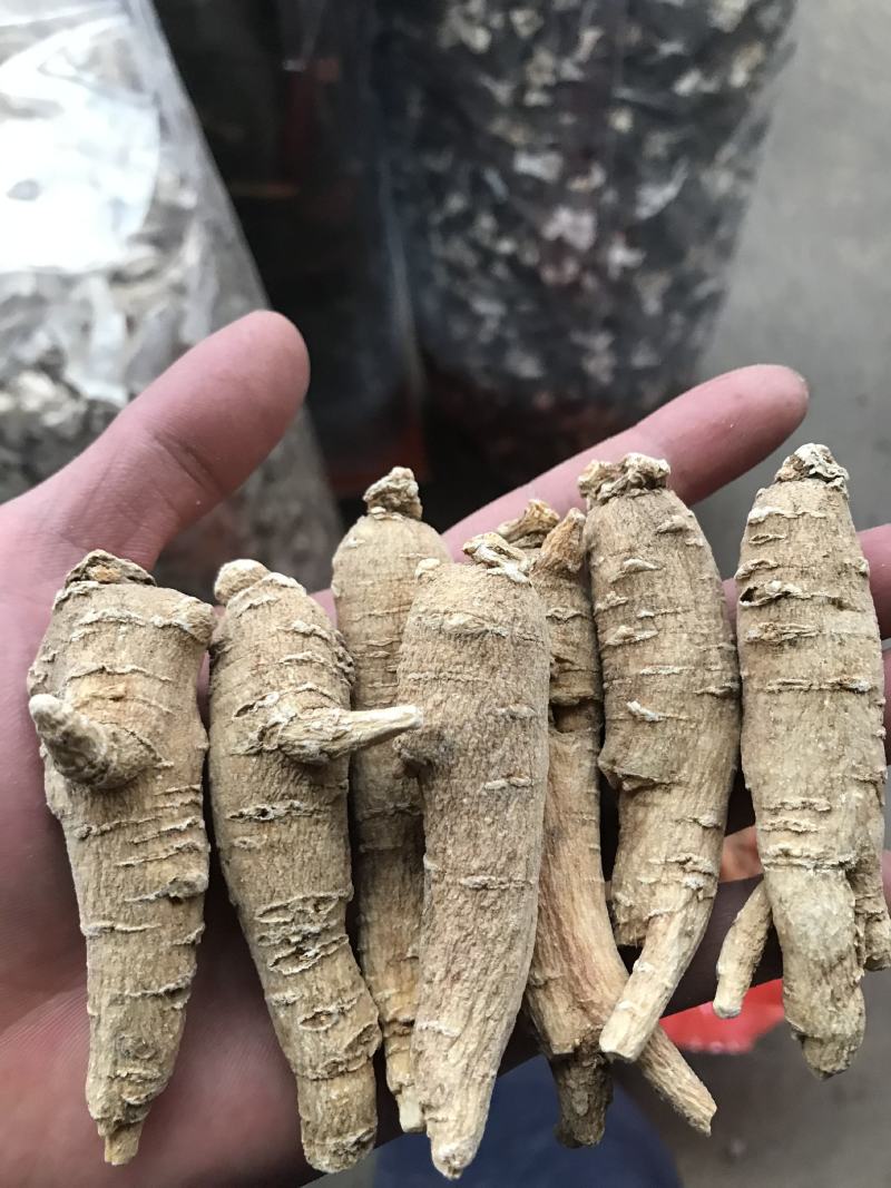 加拿大进口西洋参精选15克参条断枝精选山东花旗参尖尾