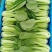 油菜上海青（专业代收）常年大量供应，规格齐全，量大从优