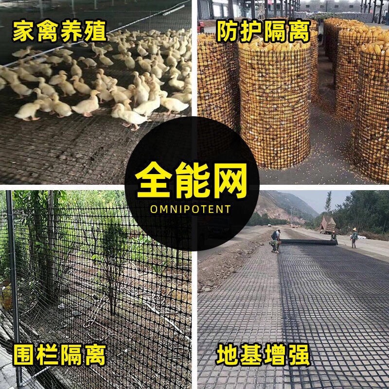 鸡鸭养殖网/塑料围网/护栏网/防护网/隔离网格栅网脚垫漏粪