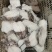 大块新鲜深海鳕鱼片深海雪鱼段鳕鱼排冷冻鳕鱼块辅食鱼肉