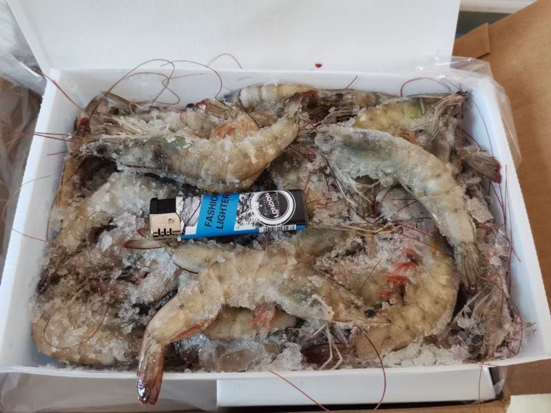 越南青虾，极速冷冻，厄瓜多尔虾