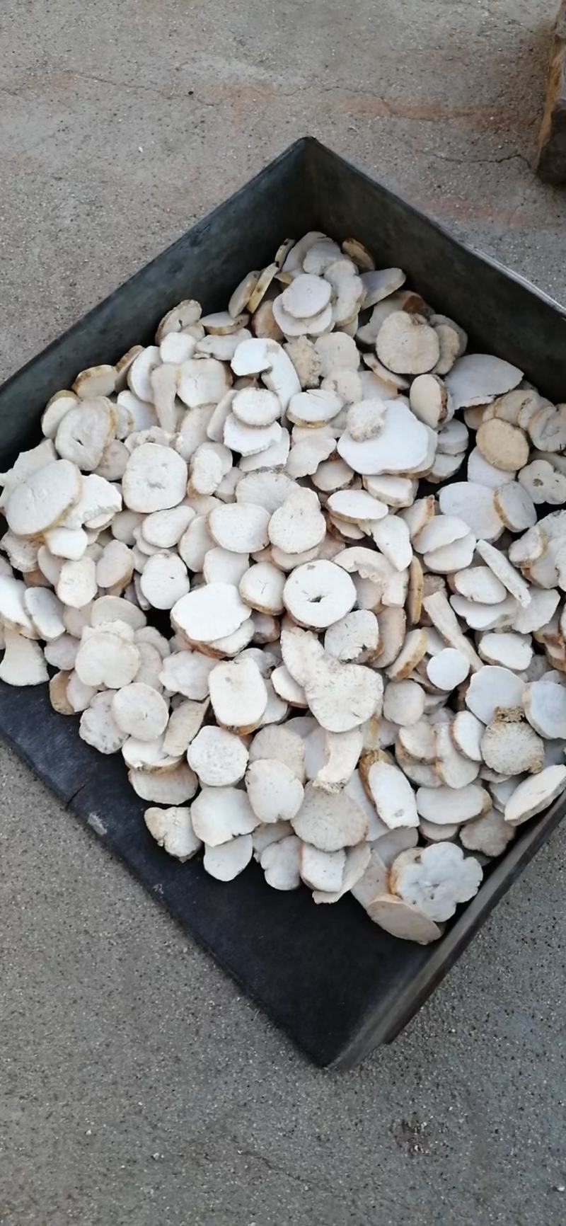 中药材天花粉河北地产天花粉各种规格，统货，选货，兽用