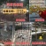 熟胶加厚养鸡养鸭网塑料养殖网围栏户外隔离网防护网漏粪圈