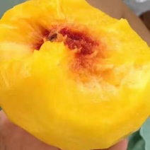提前联系买家