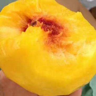 提前联系买家