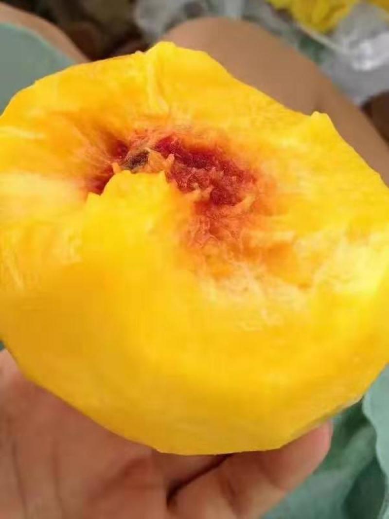 提前联系买家