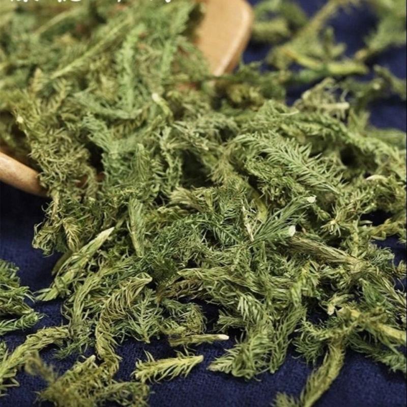 中药材伸筋草粉现拍现磨粉另有透骨草粉伸筋草粉包邮