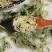 中药材伸筋草粉现拍现磨粉另有透骨草粉伸筋草粉包邮