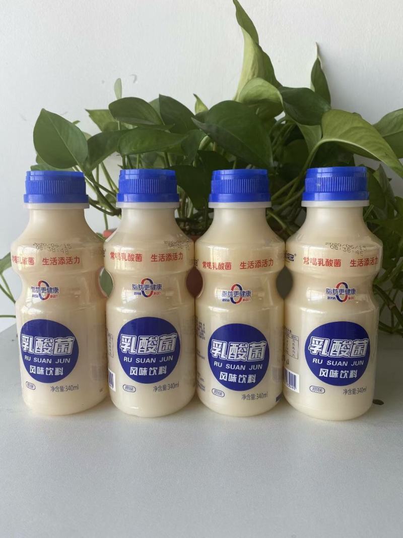 网红鹿角巷乳酸菌！源头厂家！火热招商！做乳酸菌的老板速度