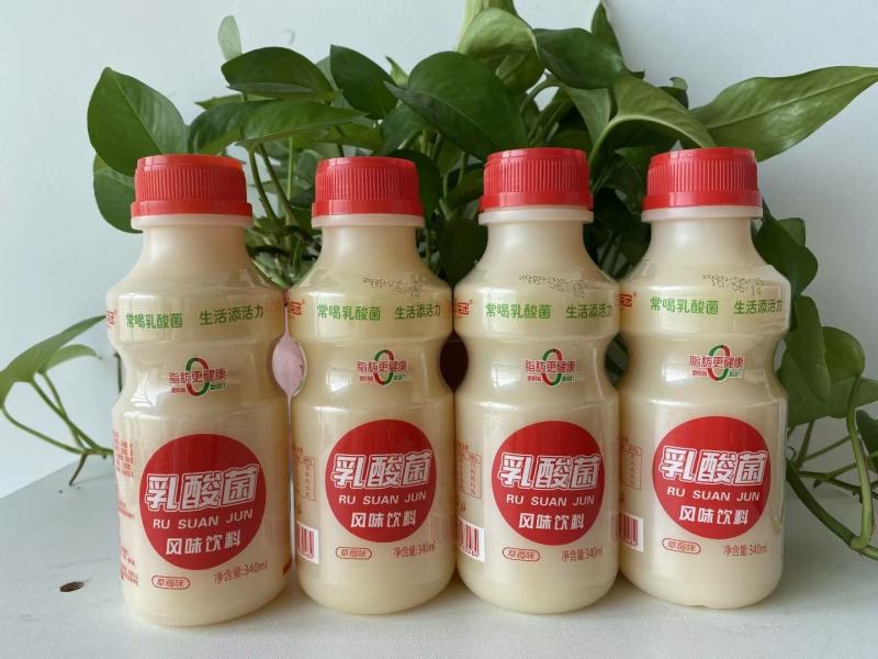 网红鹿角巷乳酸菌！源头厂家！火热招商！做乳酸菌的老板速度