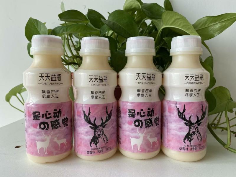 网红鹿角巷乳酸菌！源头厂家！火热招商！做乳酸菌的老板速度