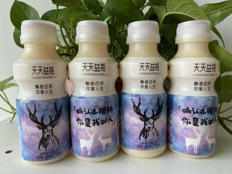 网红鹿角巷乳酸菌！源头厂家！火热招商！做乳酸菌的老板速度