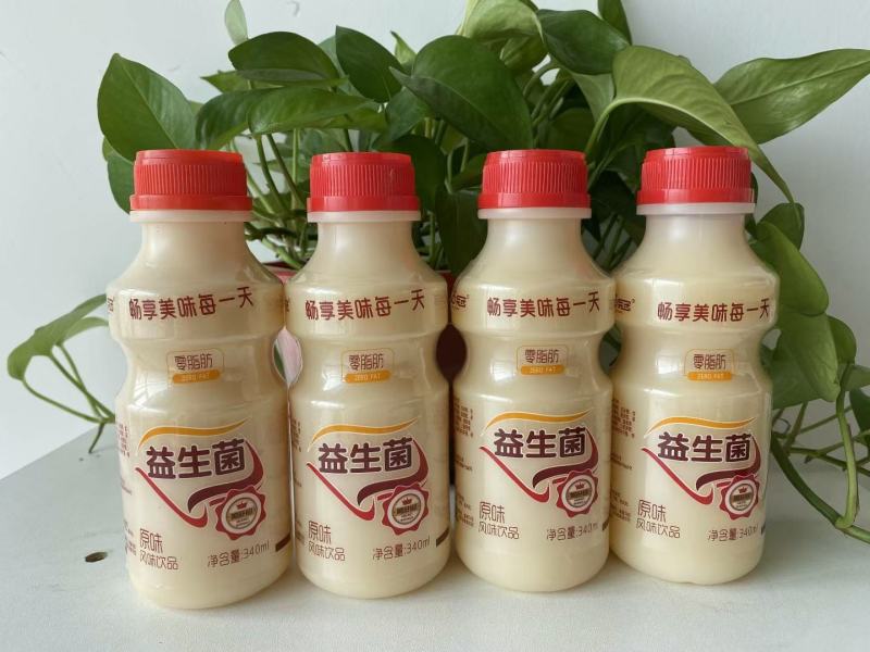 网红鹿角巷乳酸菌！源头厂家！火热招商！做乳酸菌的老板速度
