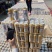 纯生小麦王啤酒日期新鲜每瓶500ml一件9瓶夏季热卖