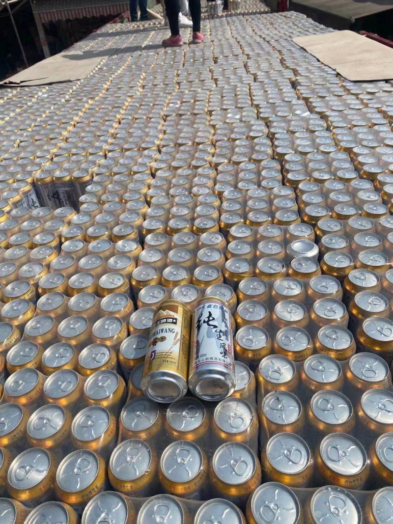 纯生小麦王啤酒日期新鲜每瓶500ml一件9瓶夏季热卖