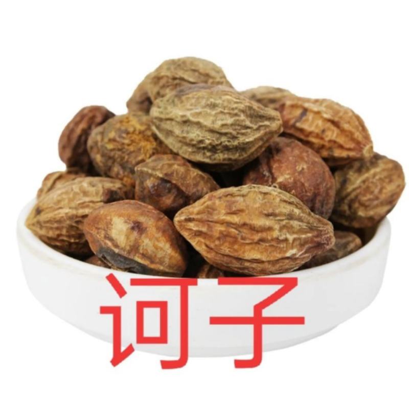 诃子振兴药材批发新货纯诃子诃子柯子金柯子大金果50