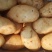 云南文山土豆土豆大量上市