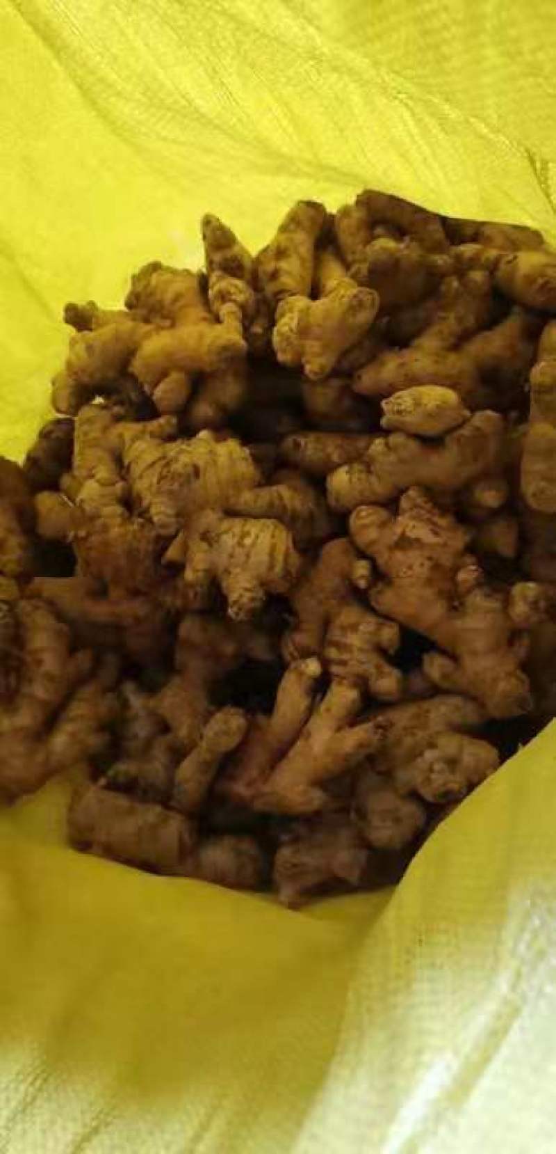 缅甸进口生态碎姜,产地直供,
