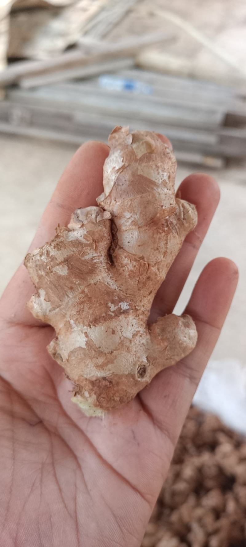 缅甸进口生态碎姜,产地直供,