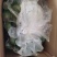 云南西双版纳正宗芭蕉非香蕉非小米蕉