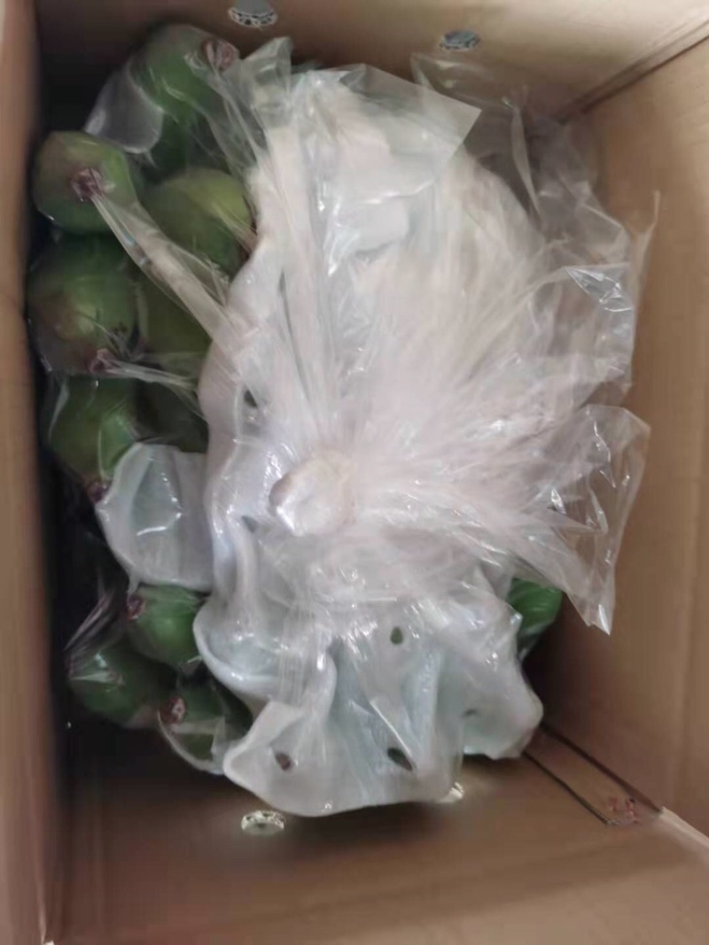 云南西双版纳正宗芭蕉非香蕉非小米蕉