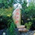 刻字石，景观石，风景石，假山石，草坪石，村牌石，