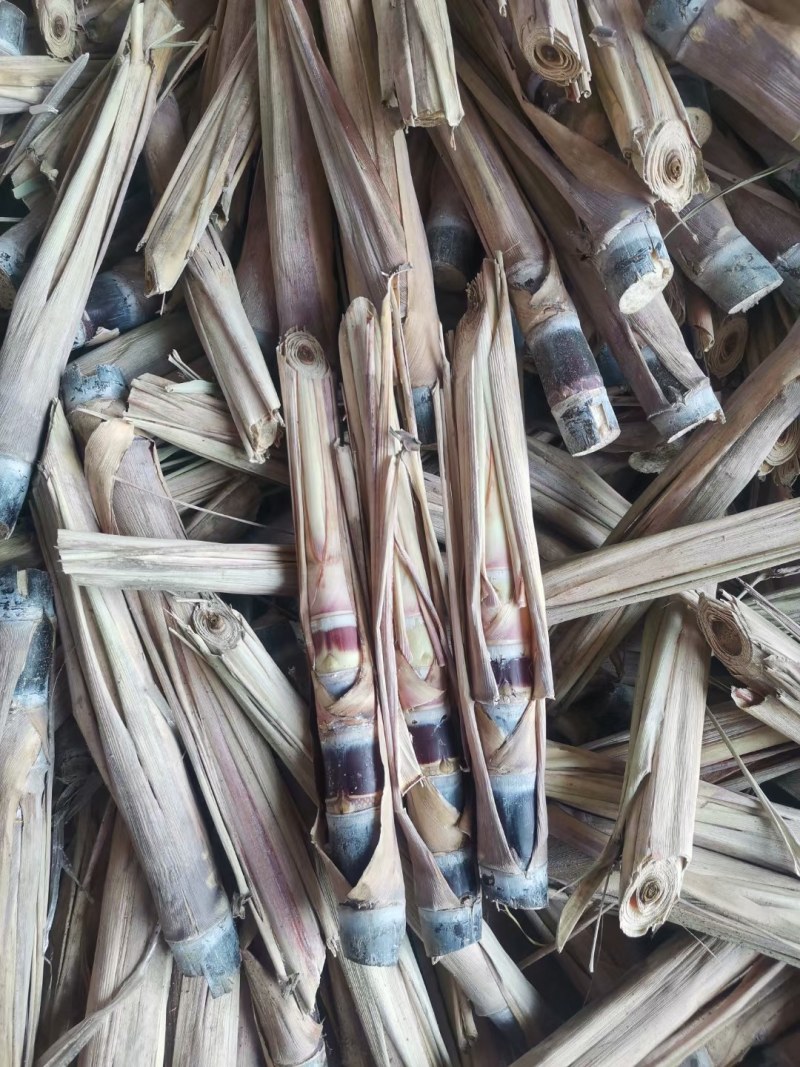 黑皮甘蔗种：南丶北方均可种植，生长快，果蔗脆甜，产量高