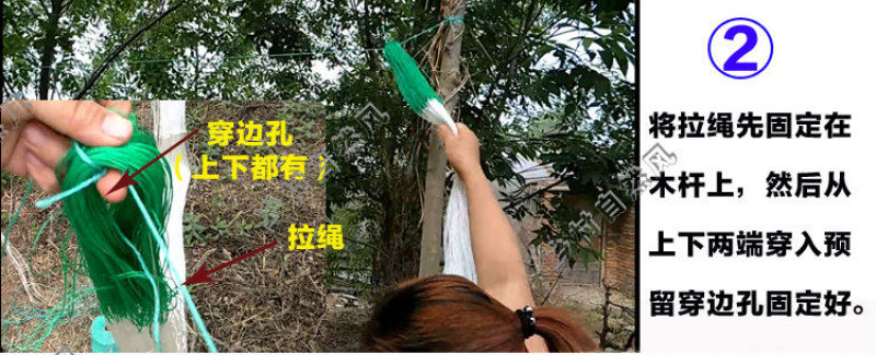 豆角网山药网黄瓜网植物爬藤网攀爬蔬菜瓜果种植百香果吊瓜种