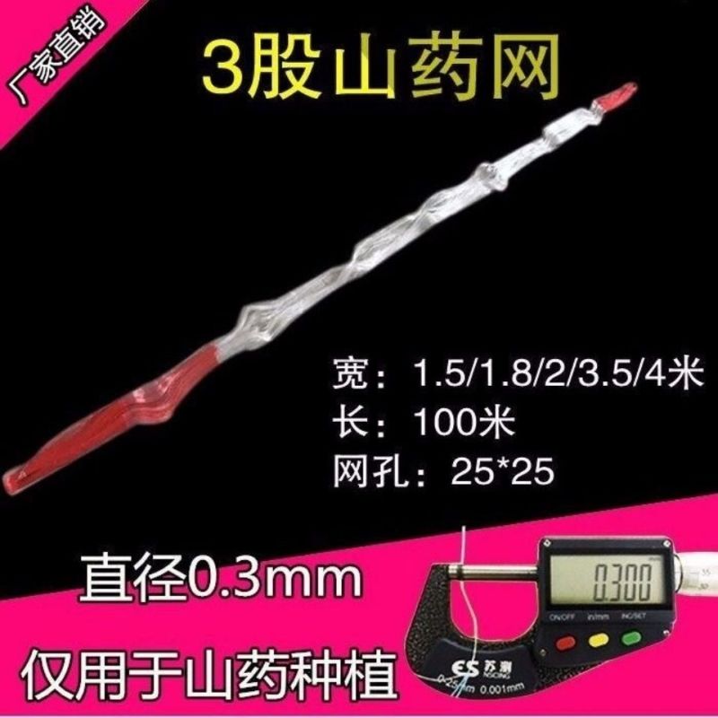 豆角网山药网黄瓜网植物爬藤网攀爬蔬菜瓜果种植百香果吊瓜种