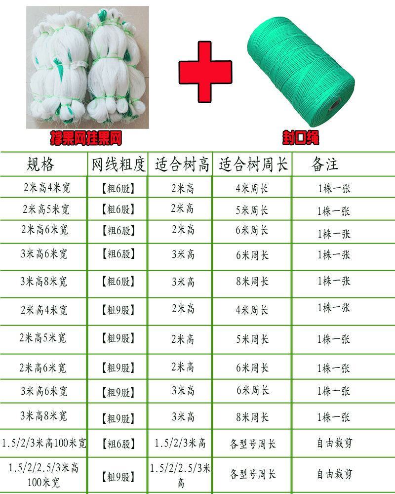 豆角网山药网黄瓜网植物爬藤网攀爬蔬菜瓜果种植百香果吊瓜种