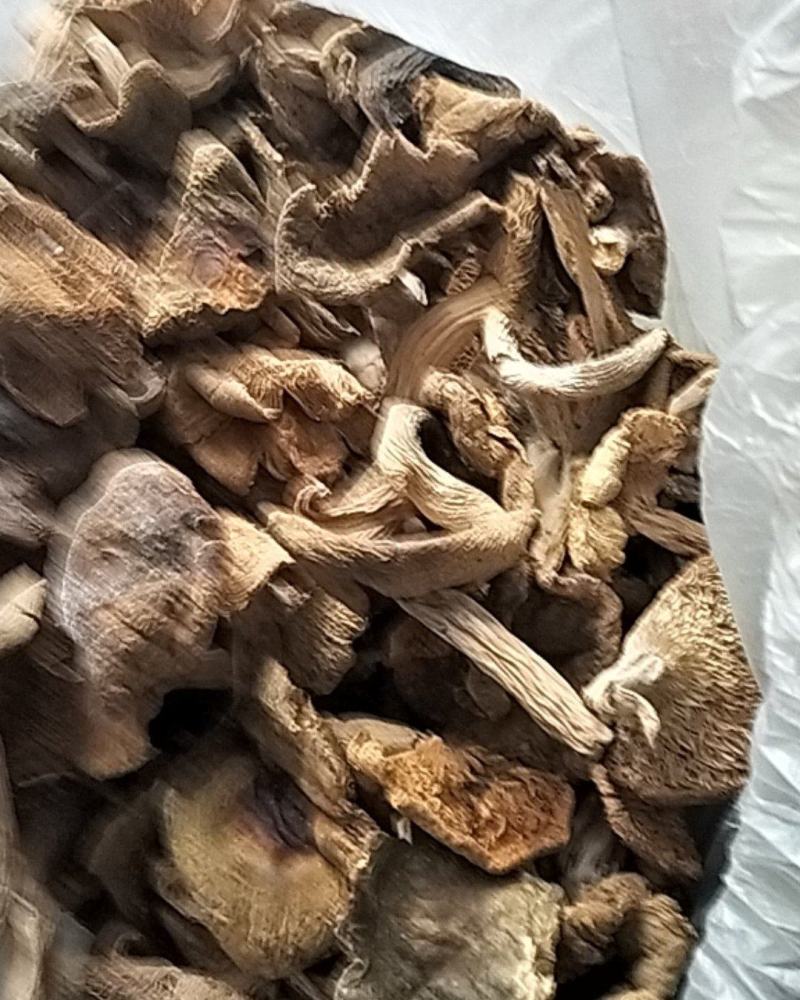 野生优质干青菌数量有限
