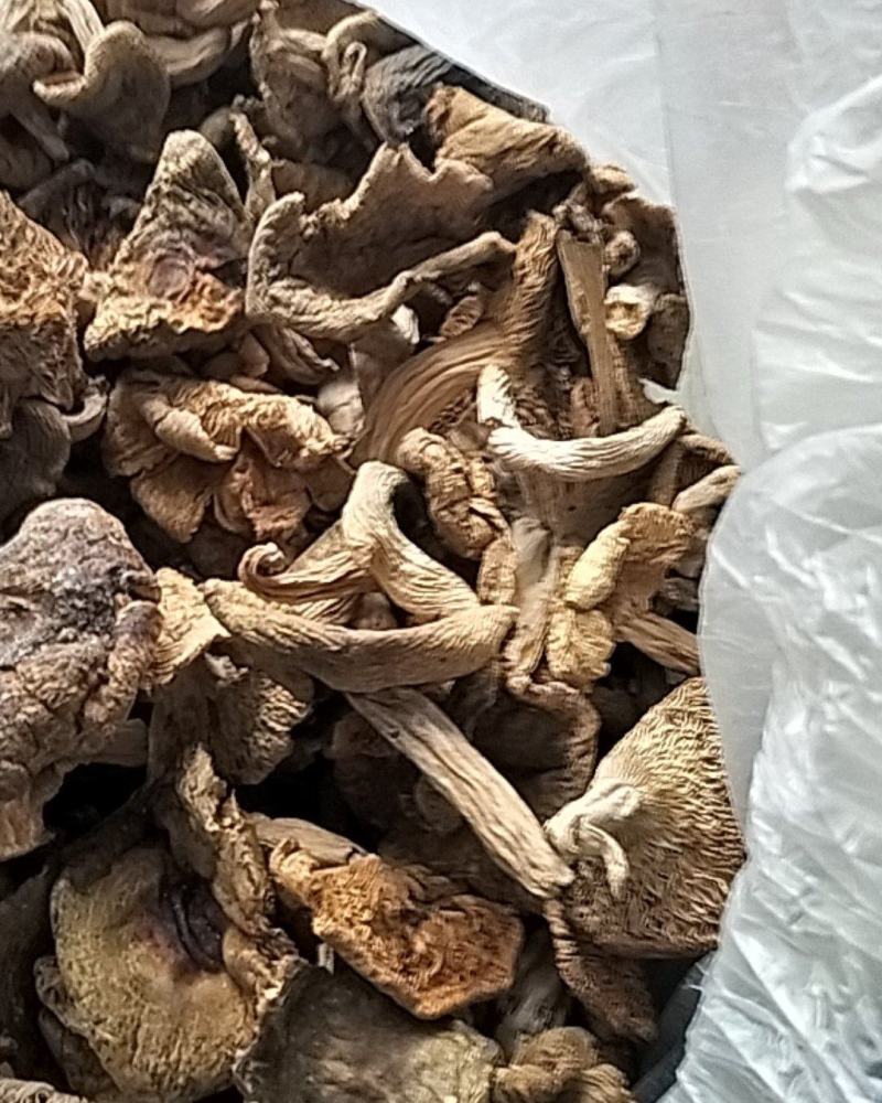 野生优质干青菌数量有限