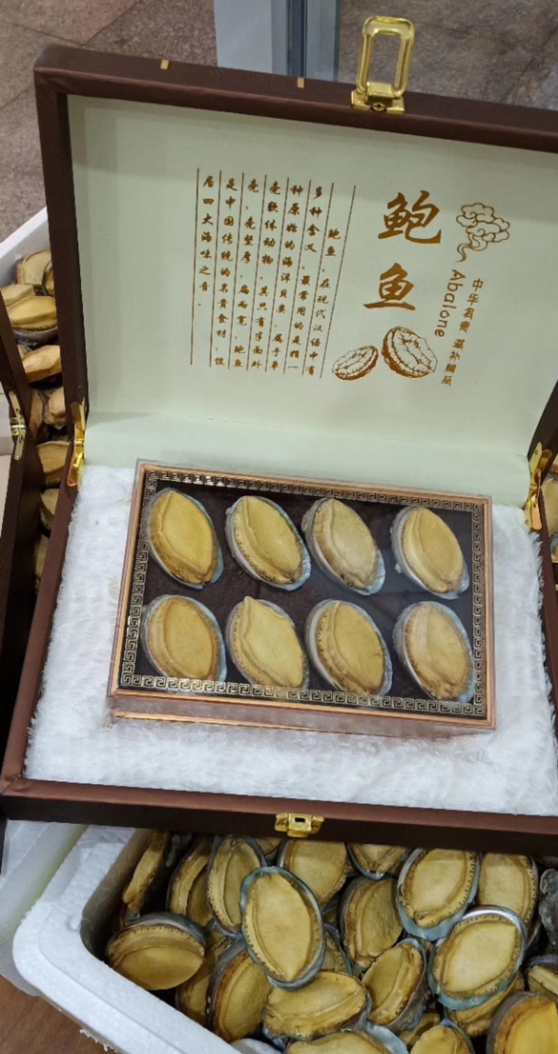 冻干鲍鱼
