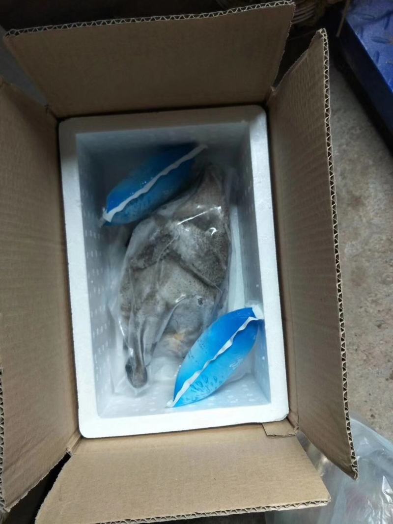 盐津乌骨鸡