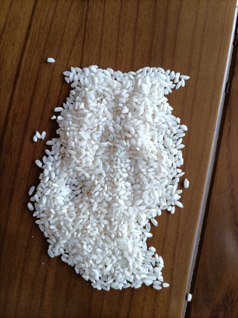 稻花香大米圆粒珍珠米复白米靓早梗米饭堂米食堂大米批发