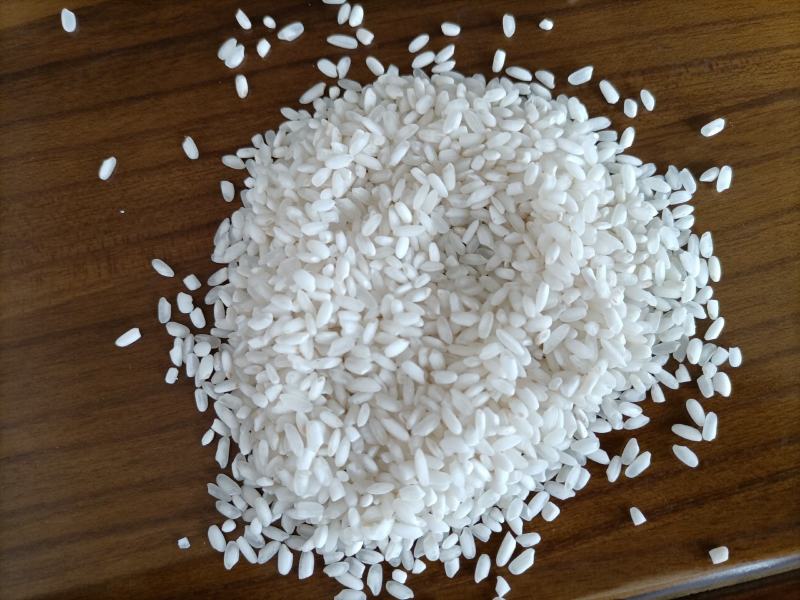 稻花香大米圆粒珍珠米复白米靓早梗米饭堂米食堂大米批发