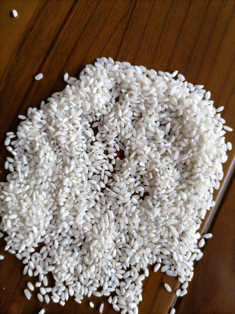稻花香大米圆粒珍珠米复白米靓早梗米饭堂米食堂大米批发