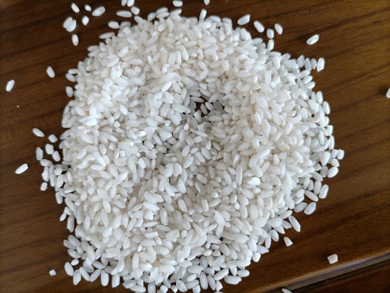 稻花香大米圆粒珍珠米复白米靓早梗米饭堂米食堂大米批发