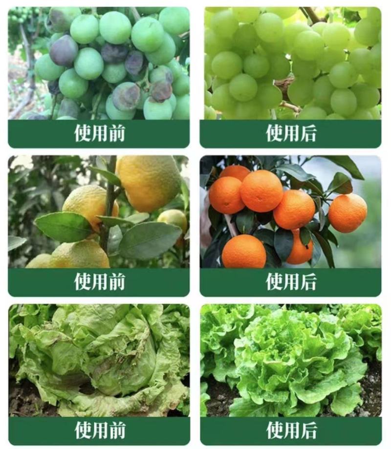 膨果王818液体，高浓度水溶肥