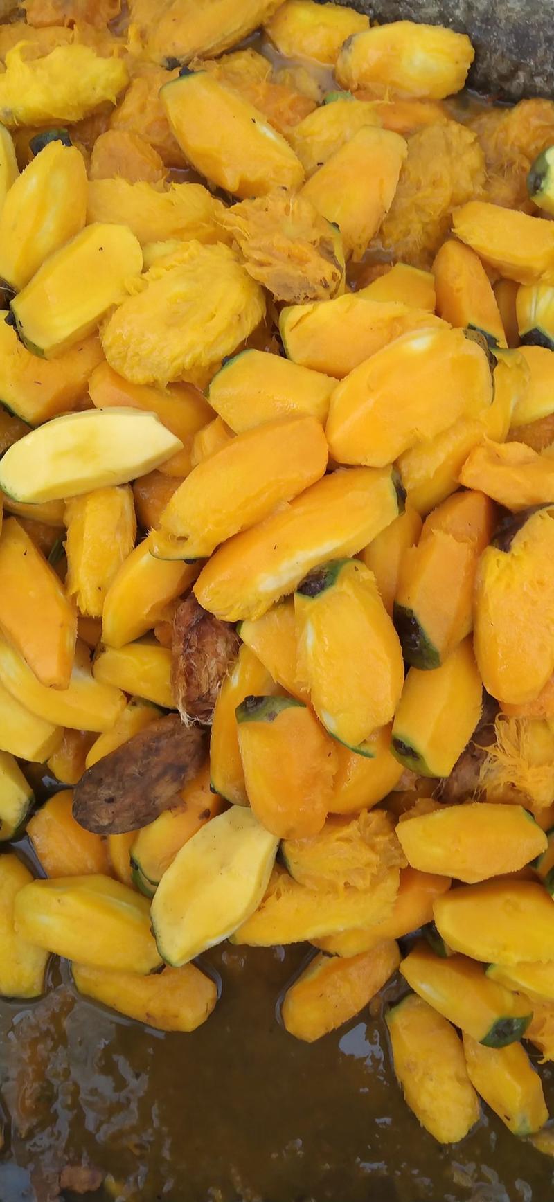 芒果种子