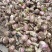 【精品大蒜】蒜头把蒜可供电商、超市、市场