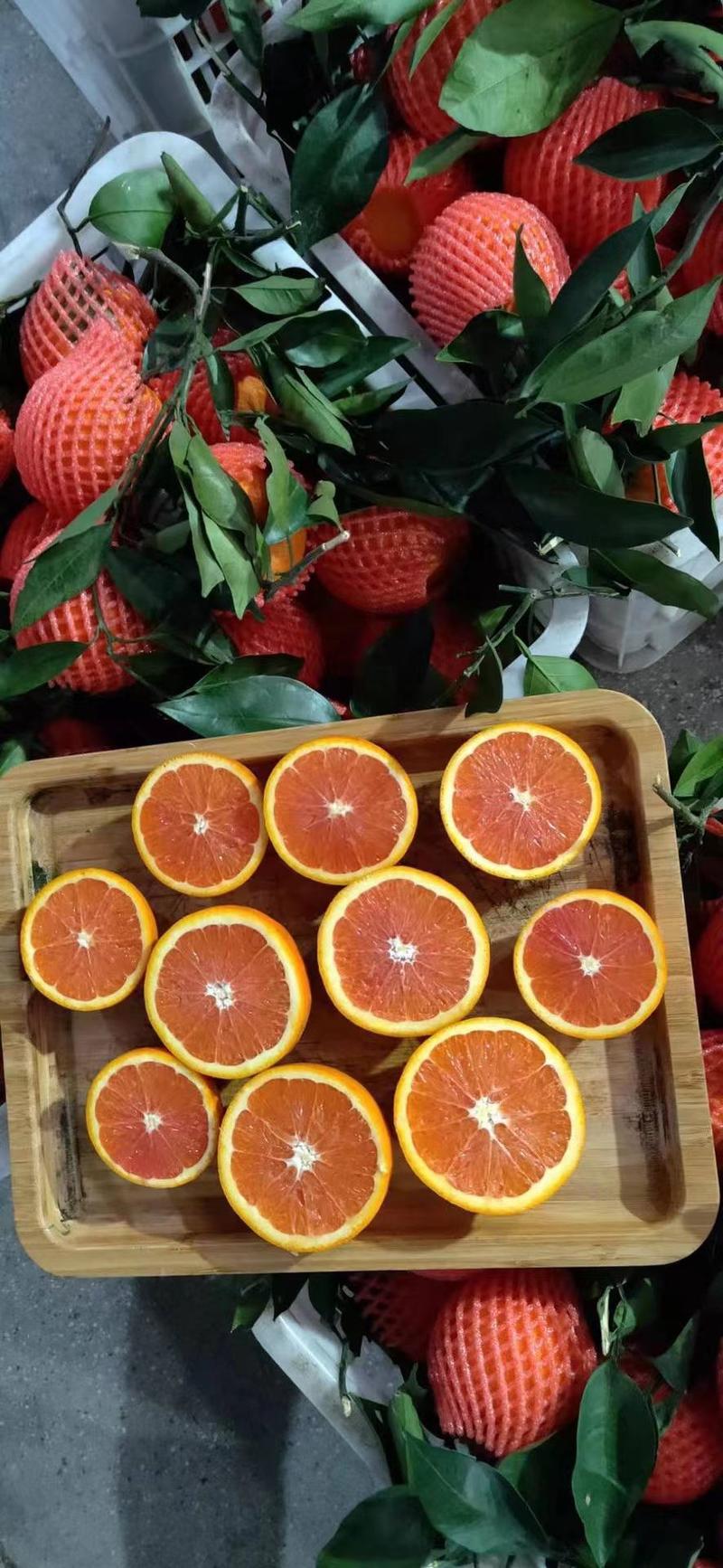 【血橙】中华红橙果大皮薄香甜可口，鲜果采摘，欢迎选购