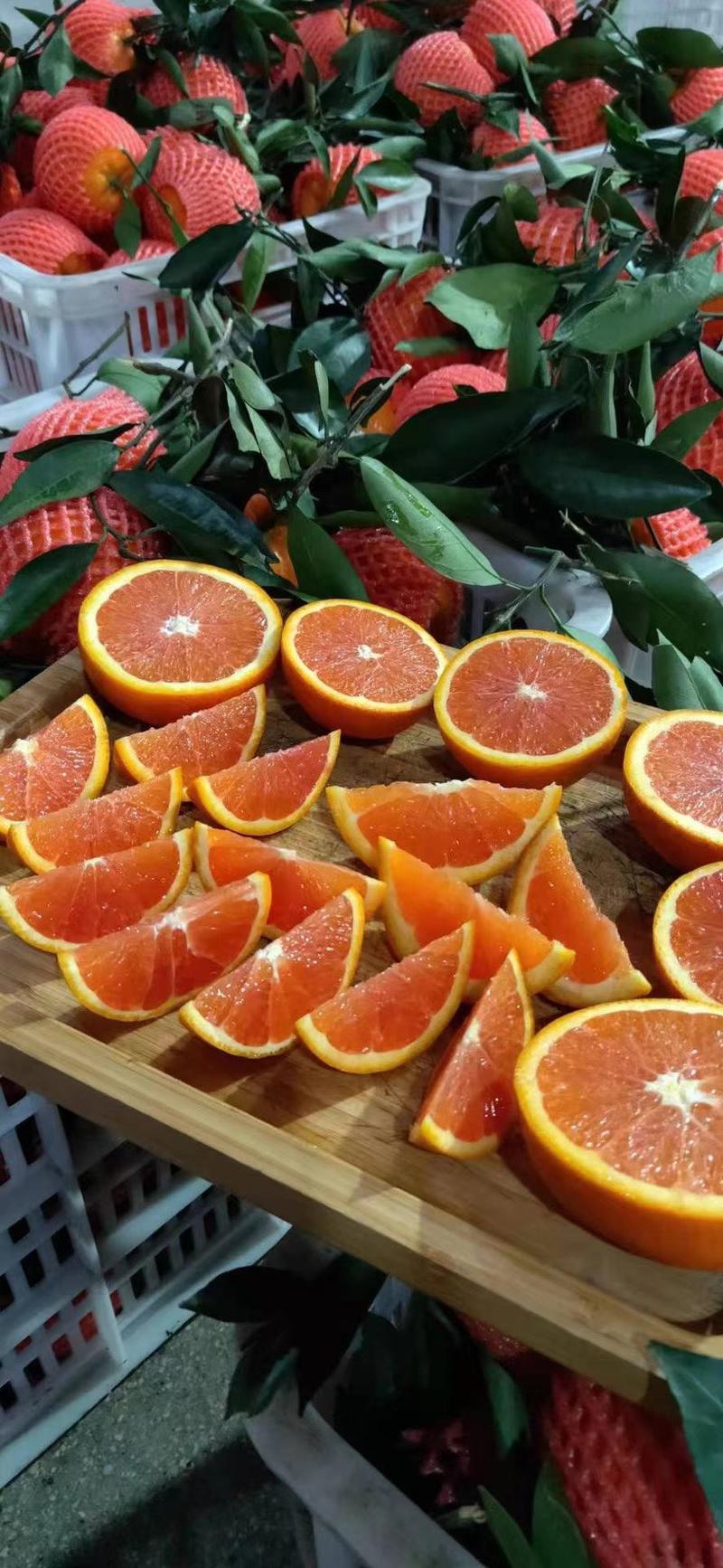 【血橙】中华红橙果大皮薄香甜可口，鲜果采摘，欢迎选购