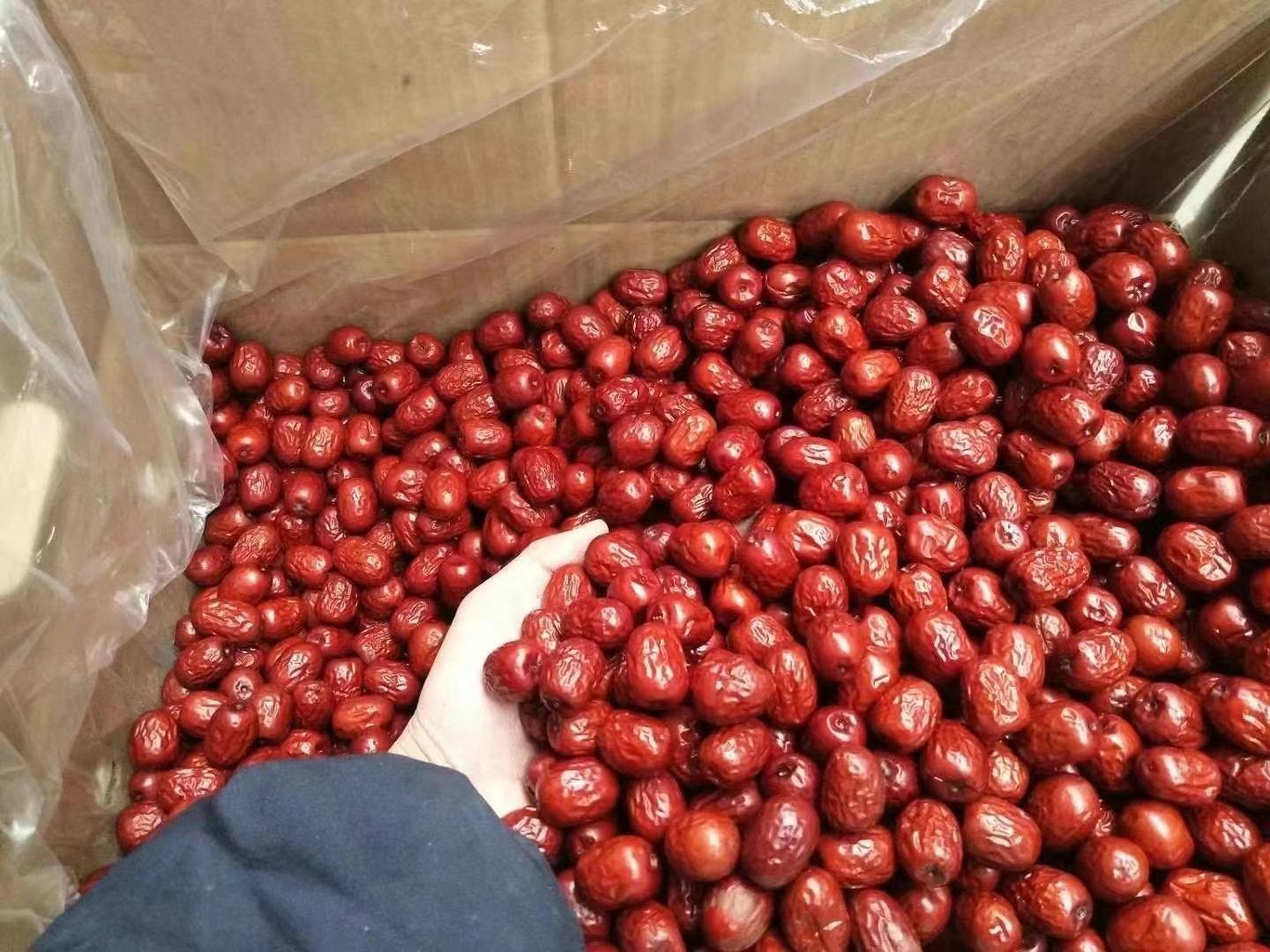 麻姑鲜枣市场销售场景