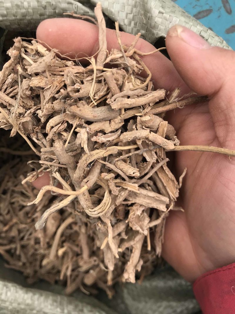 地骨皮无硫野生地骨皮产地直销