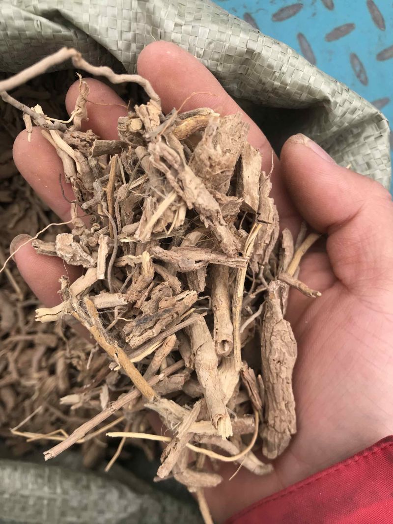 地骨皮无硫野生地骨皮产地直销